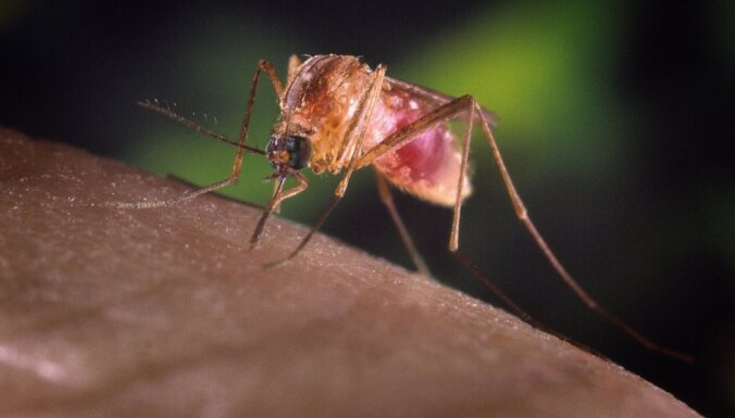ВОЗ рекомендовала начать использование первой в мире вакцины против малярии