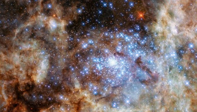 Britu astronomi Tarantula miglājā atklāj deviņas milzīgas zvaigznes