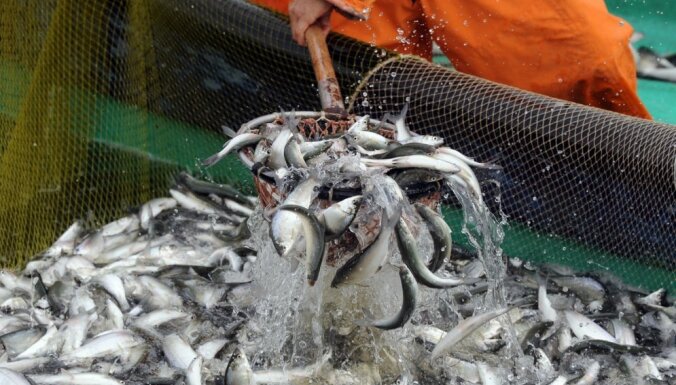 Zemūdens medniekam par zivju resursiem nodarītajiem zaudējumiem jāšķiras no 1150 eiro