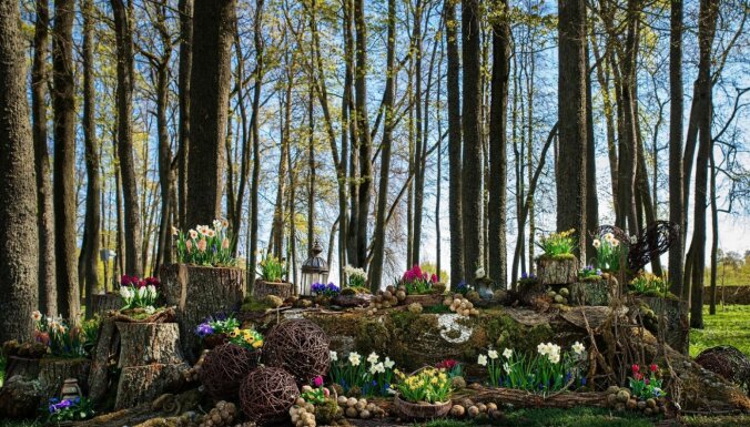ФОТО. В Пакруойской усадьбе "расцвел" крупнейший в Балтии фестиваль весенних цветов