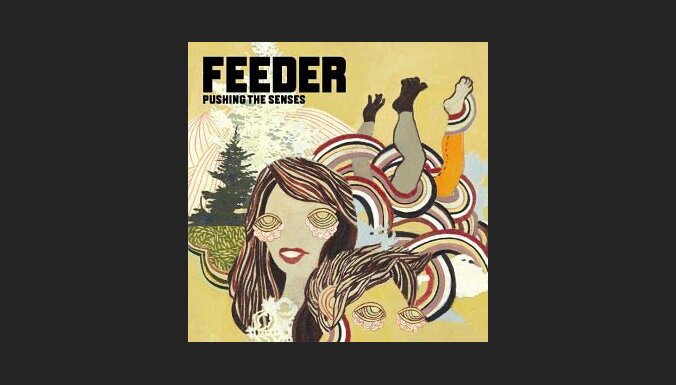 Feeder Pushing The Senses Delfi