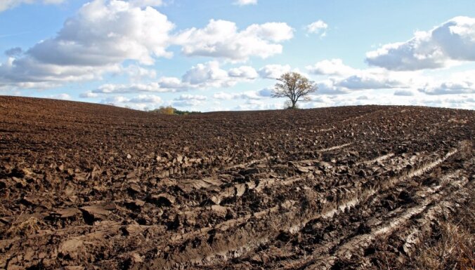 Из-за солнечного апреля могу погибнуть посевы, крестьяне говорят о засухе