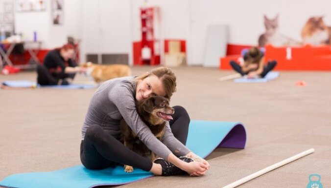 Suns kā treneris un trenažieris. Latvijā popularitāti gūst studentu projekts – suņu fitness