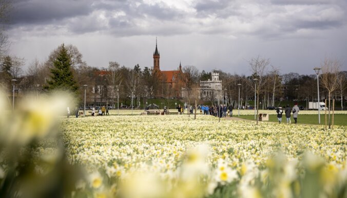 Uzplaucis pavasaris – pieci ziedoši galamērķi Lietuvā