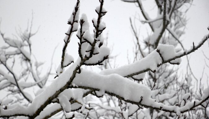 В Алуксне и Гулбене глубина снежного покрова достигла 14 см