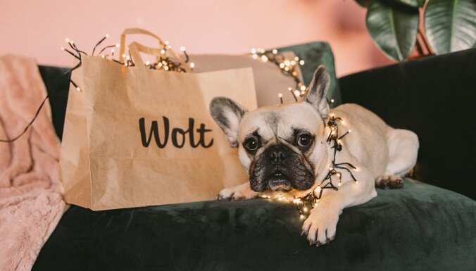 Wolt: жители все чаще заказывают доставку еды для домашних животных