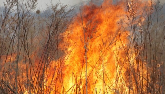 Поджоги старника: огонь уничтожил около 40 га прошлогодней травы
