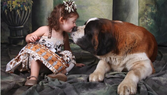 Pasaulē lielākie suņi – draudzīgi rotaļu biedri un uzticami sargi