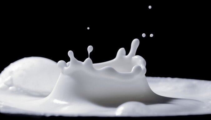 Молочное предприятие Elpa на неопределенное время приостановило производство