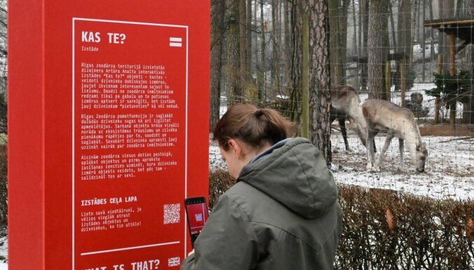 Foto: Tuvāk dzīvniekiem – dizainers Artūrs Analts radījis īpašu instalāciju Rīgas Zoo