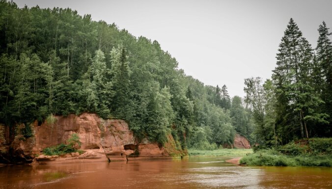 Garākā lapegļu aleja un iespaidīgs smilšakmens atsegums. 'Mežtakas' posmi Latvijas ziemeļos