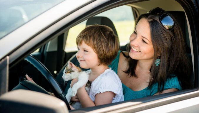 70% водителей перевозят животных, не позаботившись о безопасности