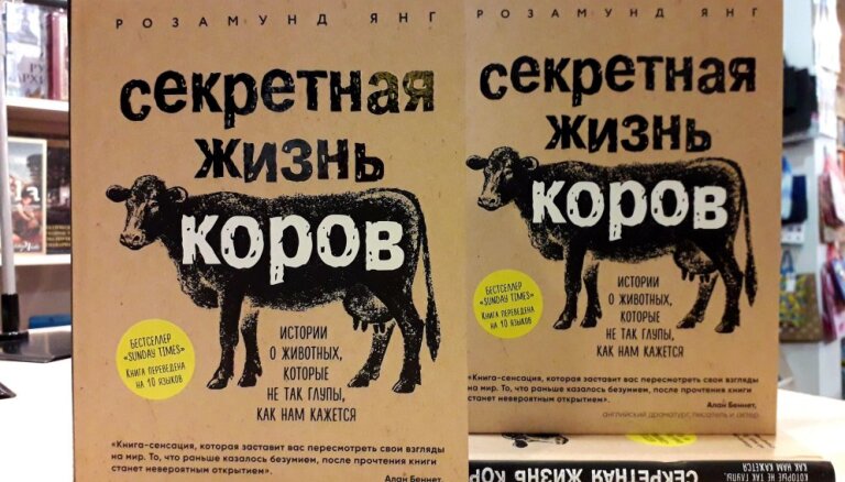 Сколько живут коровы. Секретная жизнь коров. Секретная жизнь коров читать онлайн. Тайная жизнь коров книга. Продолжительность жизни коровы.