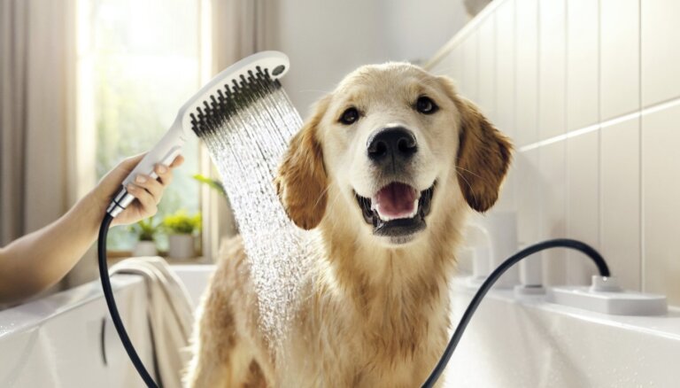 Tava mīluļa labsajūtai – 'Dog Shower' rokas duša