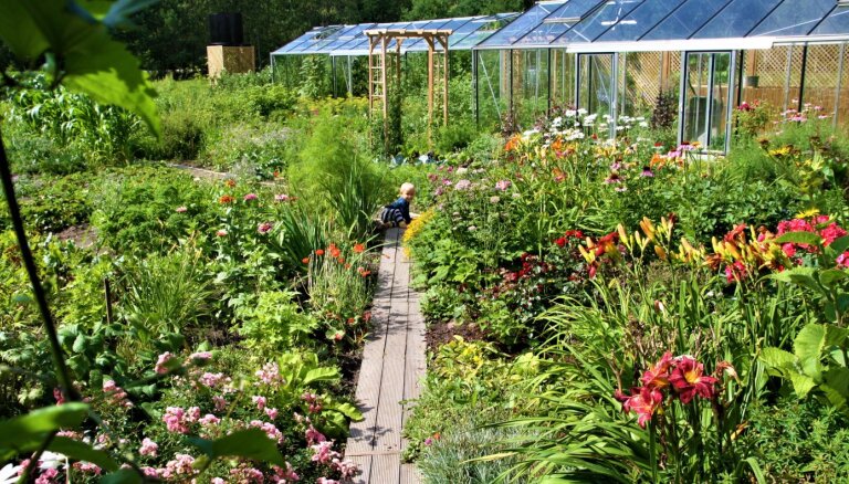 Atbildīgi arī dārzā – bioloģiskais dārzs kā dzīvības garantija