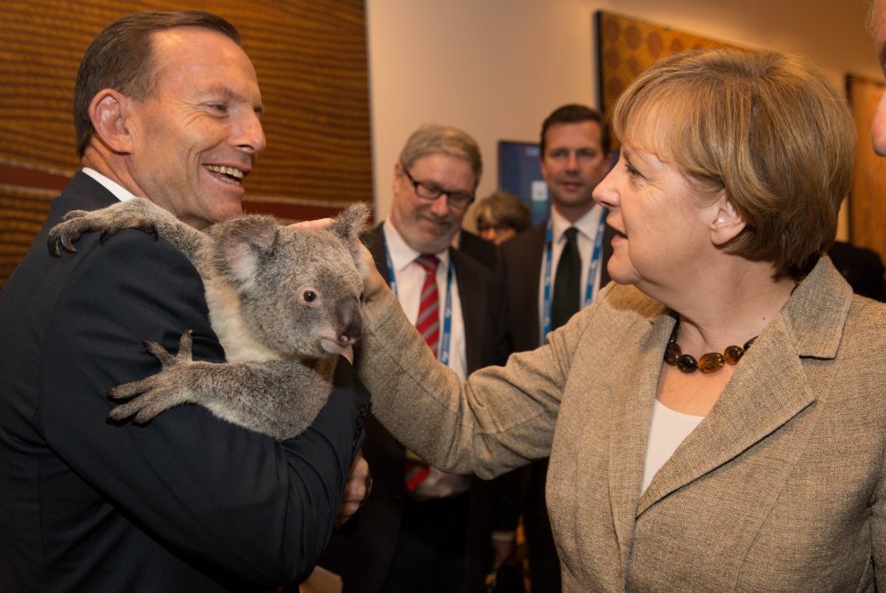 Хочу на ручки: 7 чудесных фотографий коал с мировыми лидерами
