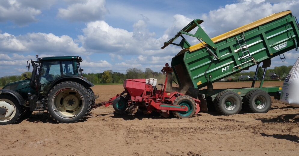 It is planned to plant 75 hectares of potatoes for the production of ‘Ādažu Čipsu’ this year