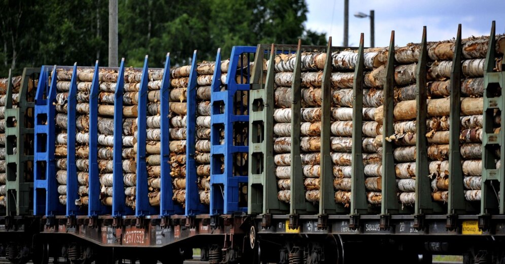 Wood from Belarus still reaches the EU and Latvia via Central Asia, the study concluded