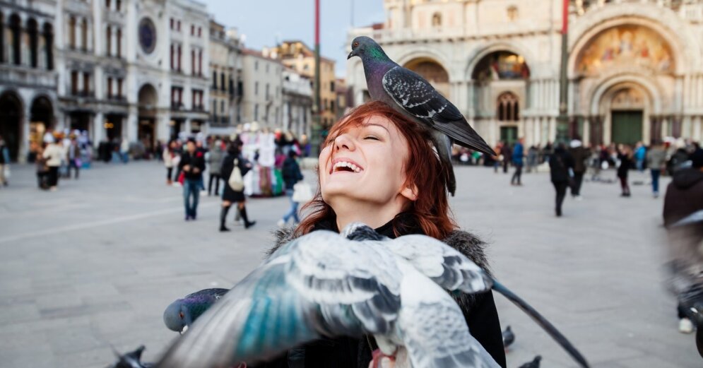 “No” to chewing gum and feeding pigeons: the strangest laws in the world