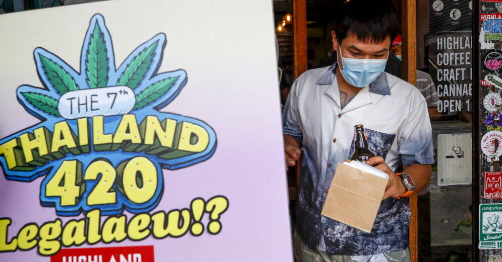 Законы тайланда на марихуану чай с марихуаной