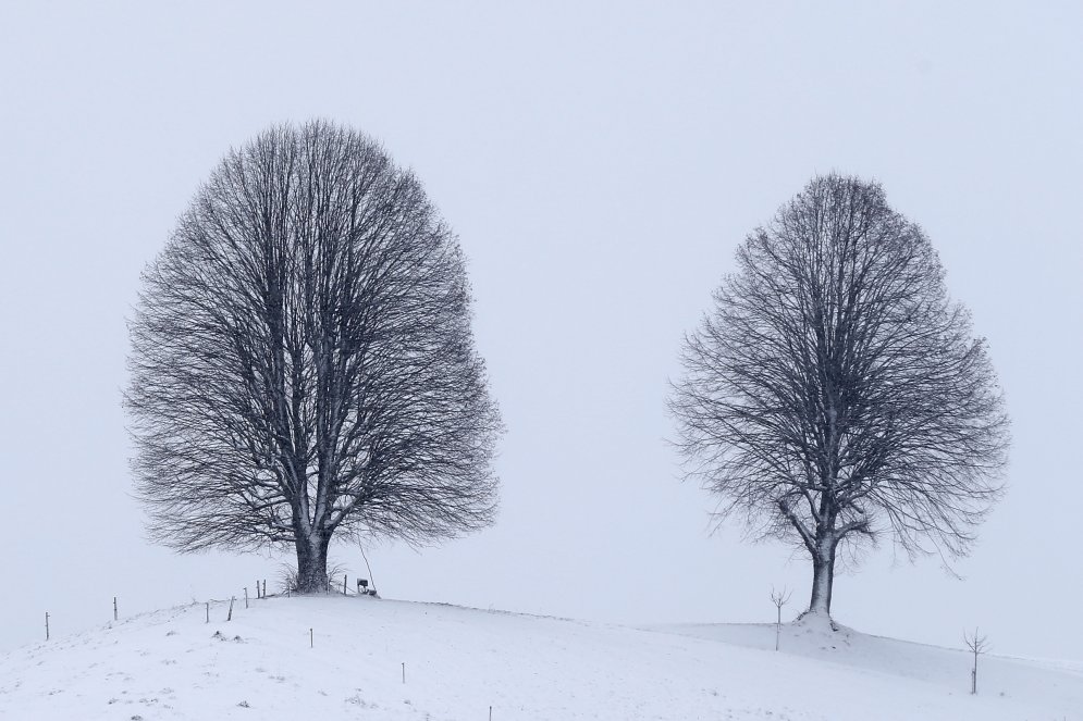 Deviņi skaisti dabasskati ar problemātisko Eiropas ziemu