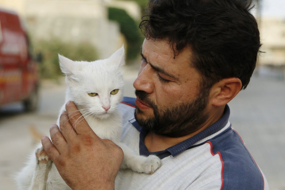 Всегда есть время для добра: мужчина кормит котиков в раздираемом войной городе