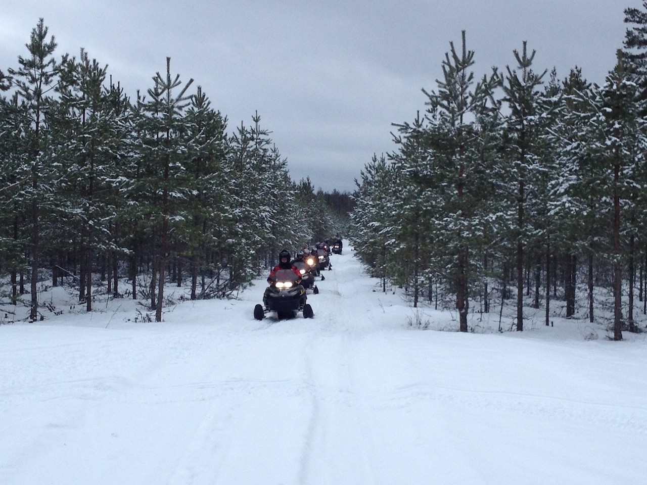Braucieni ar pajūgiem, sniega motocikliem un citas aizraujošas ziemas aktivitātes Igaunijā