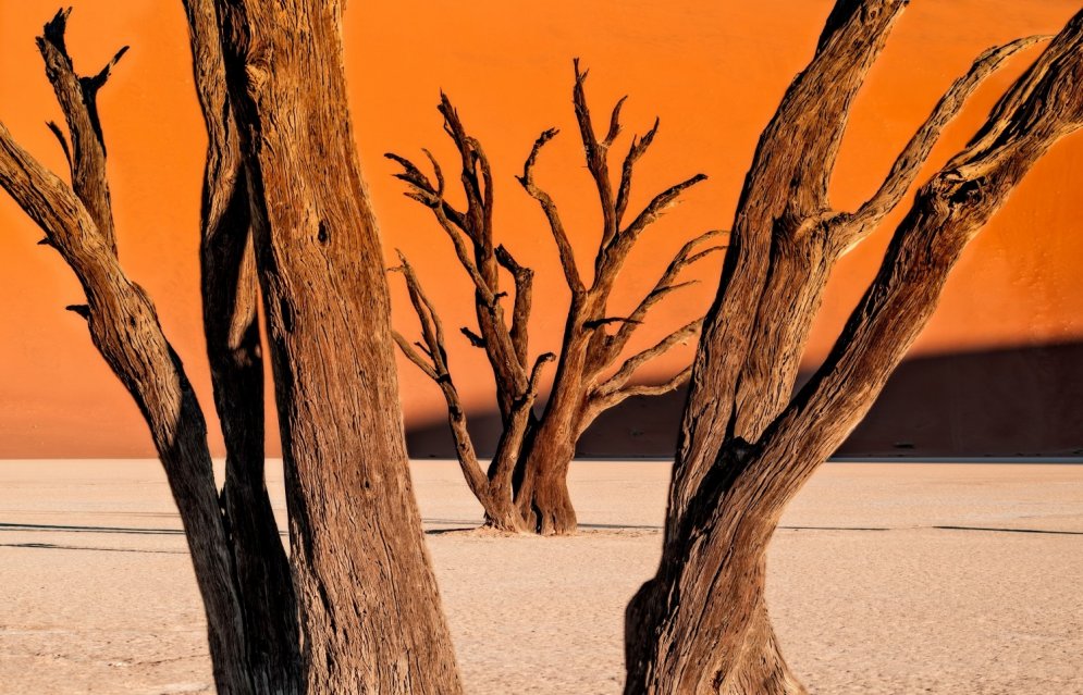 Sirreālisms dabā: tuksnesis, kas izskatās pēc Dalī gleznām